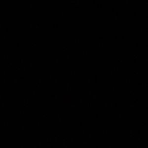 Meet your Posher, Jadyn